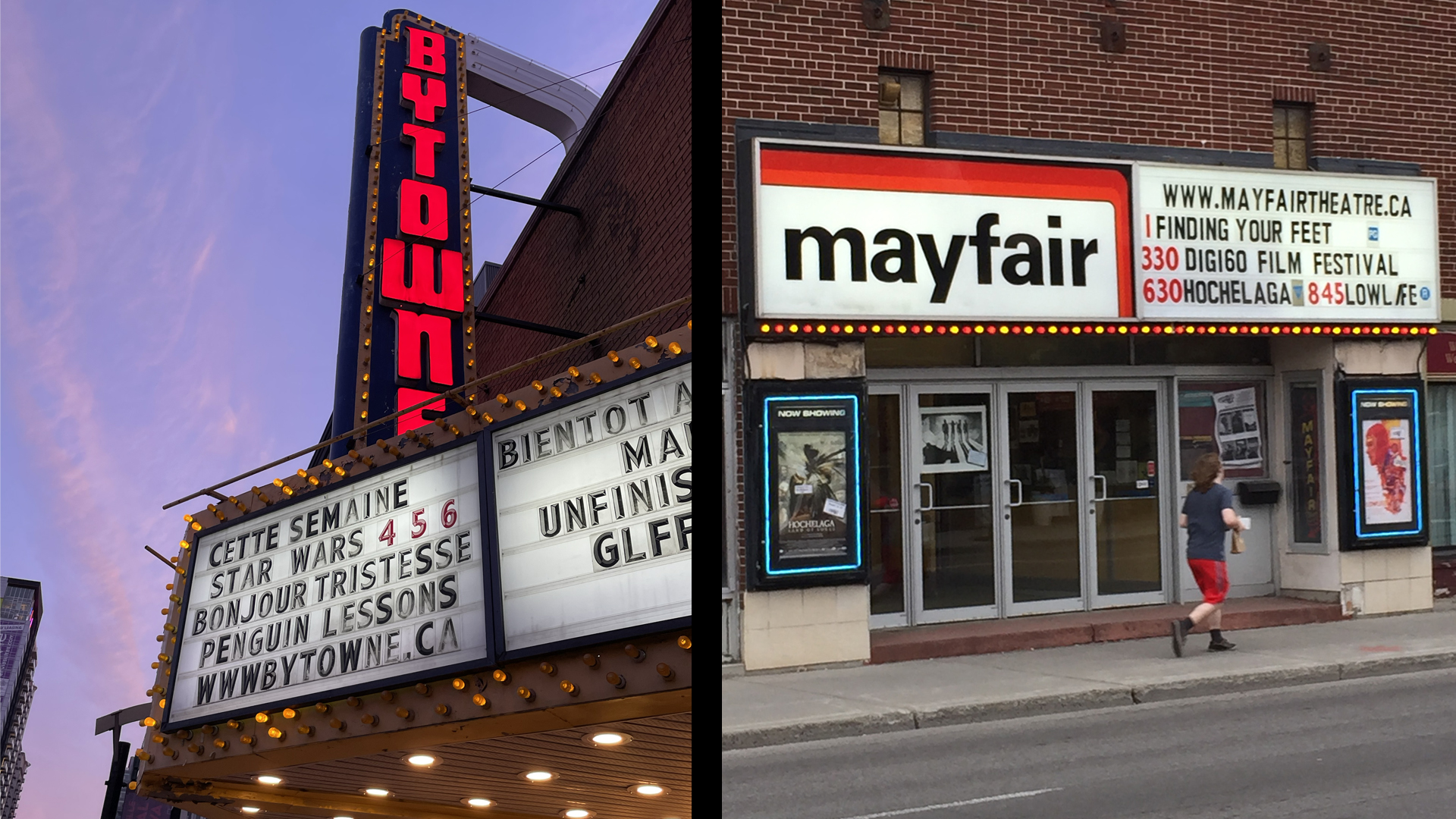One Battle After Another: Independent Cinemas Standing Their Ground ...